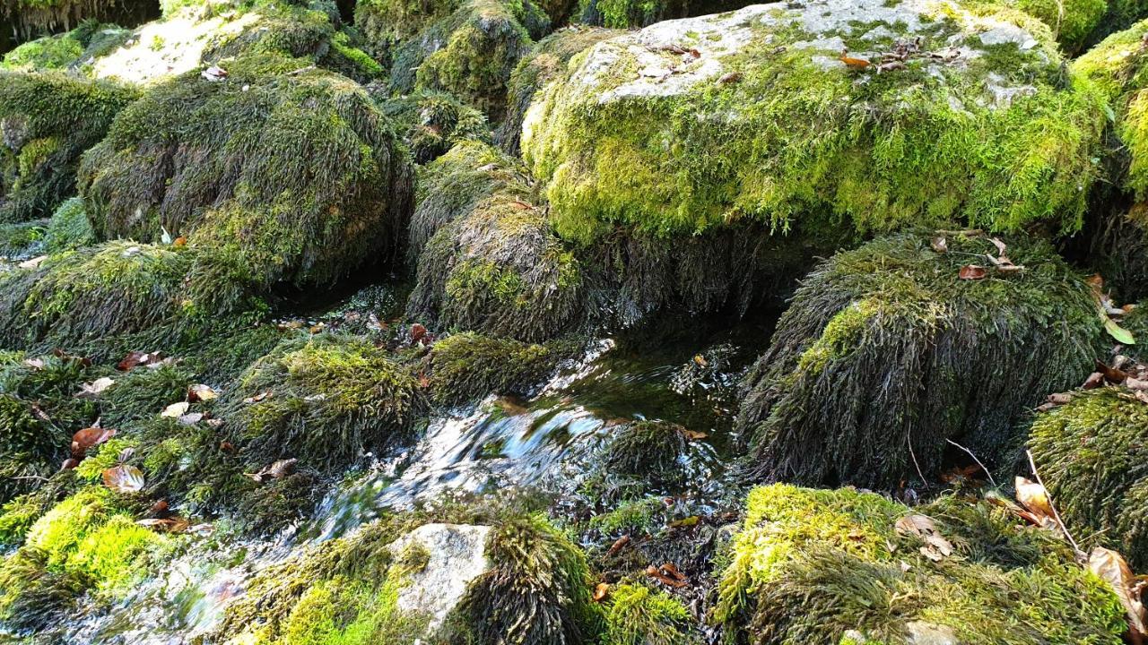 Stone Room-Kamena Soba Sipovo Eksteriør bilde